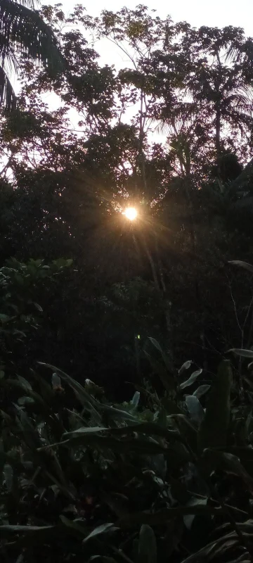 Aprofundando a Dança