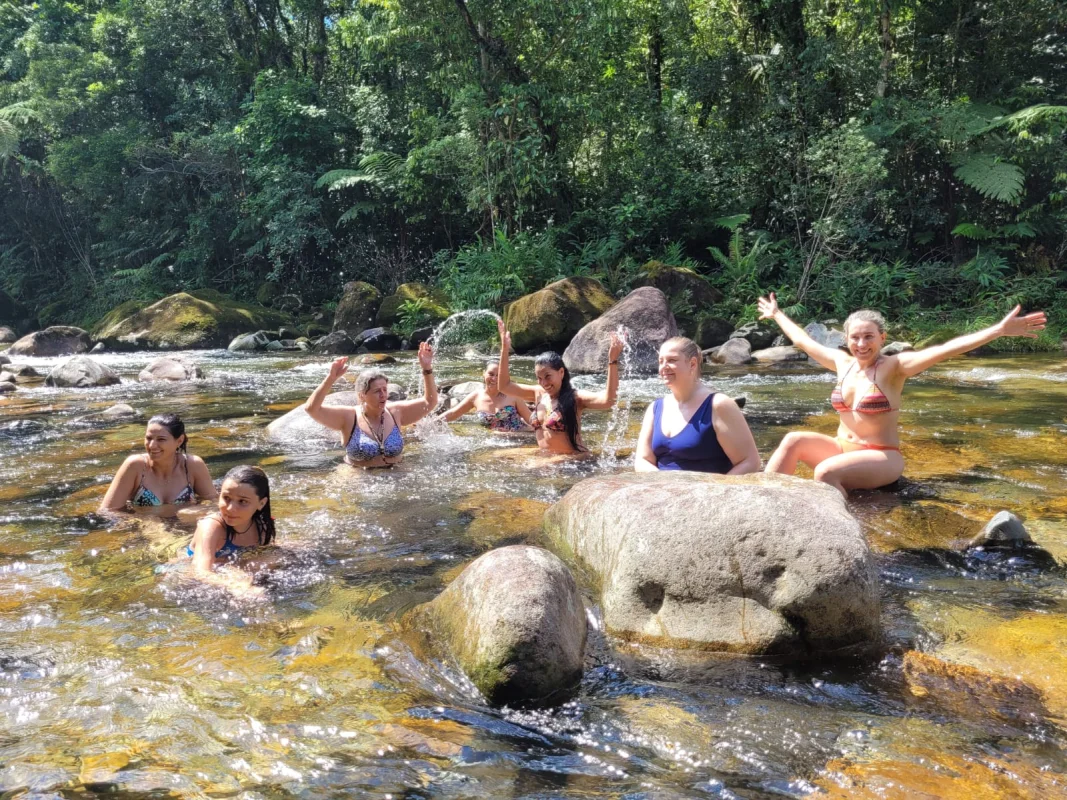 Curso de Barras de Access