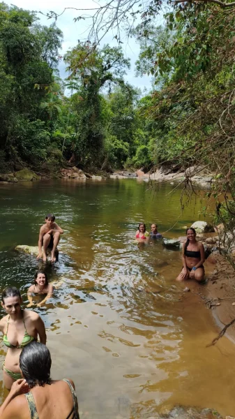 Curso de Barras de Access