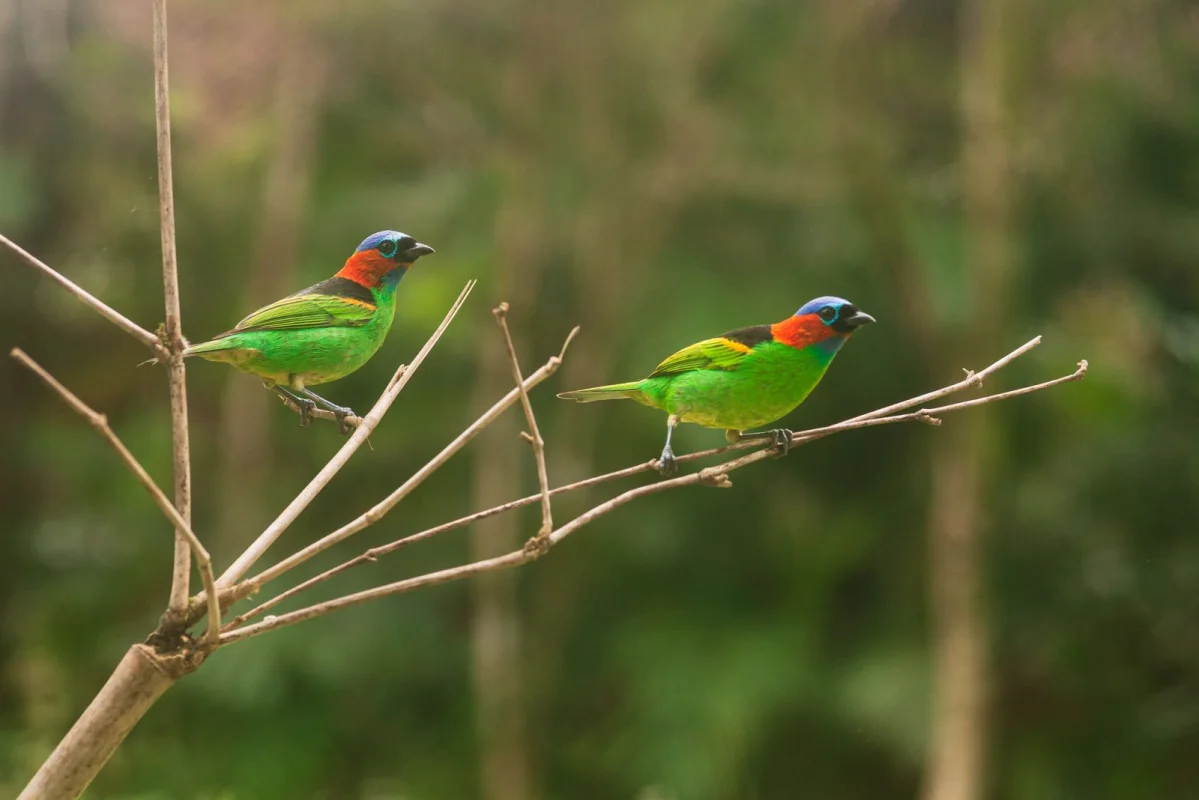 Vivência Fotográfica no Monte Crista | 08 e 09/11