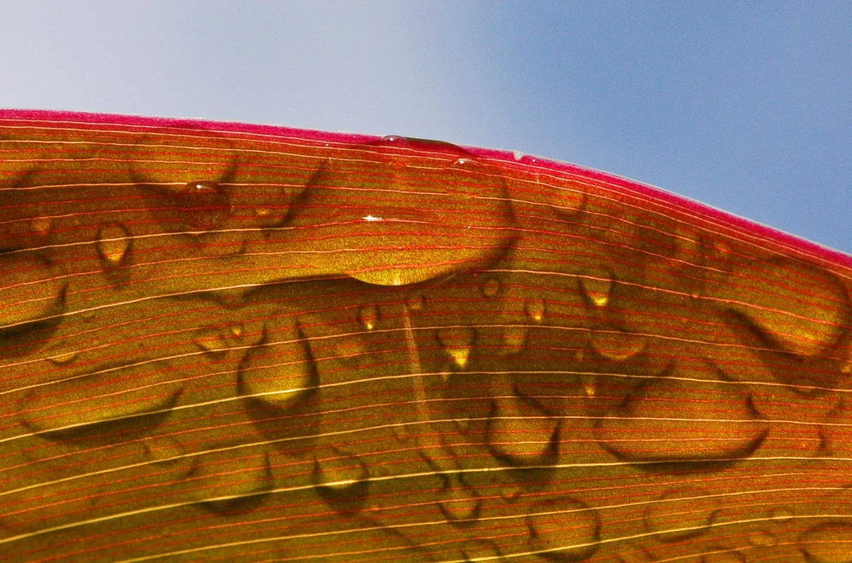 Vivência Fotográfica no Monte Crista | 08 e 09/11