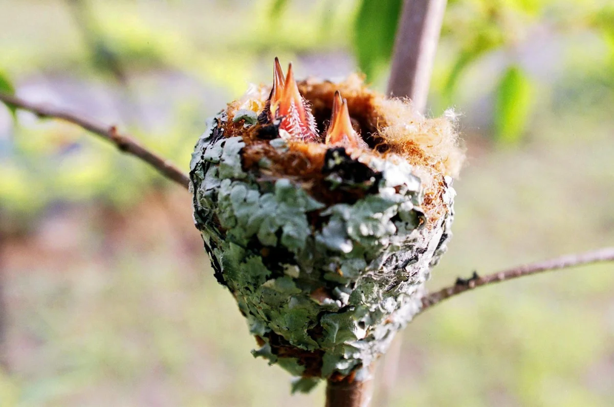 Vivência Fotográfica no Monte Crista | 08 e 09/11