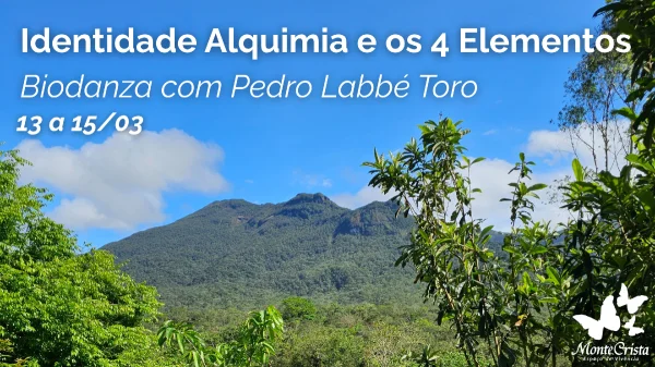 Identidade Alquimia e os Quatro Elementos - Biodanza com Pedro Labbé Toro | 13 a 15/03