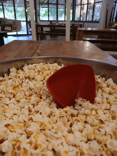 Encontro de Inverno Construindo o Mundo que Queremos | 21 a 26/06