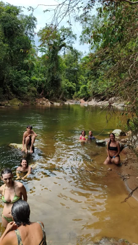 Curso de Barras de Access