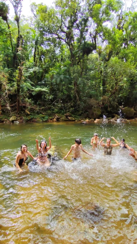 Curso de Barras de Access