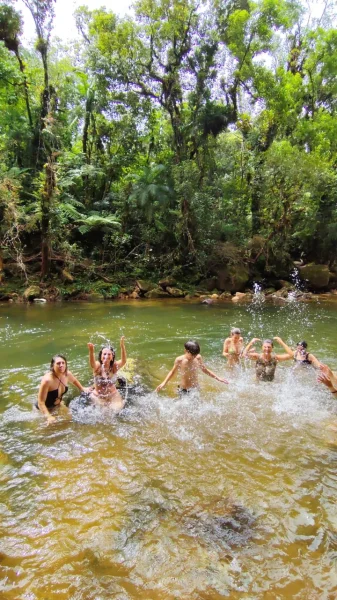 Curso de Barras de Access