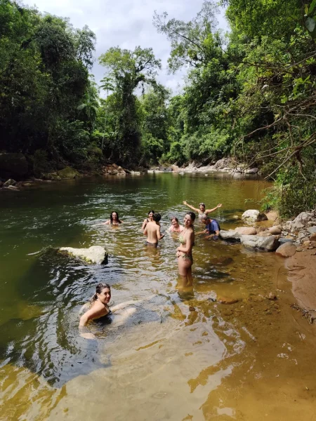 Curso de Barras de Access