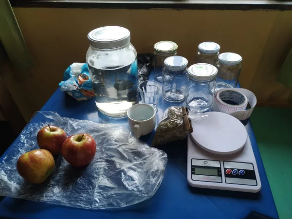 Curso de Benzimentos e plantas 