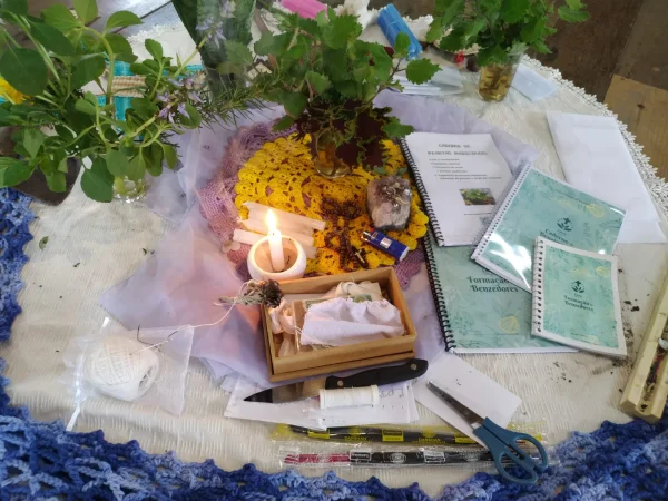 Curso de Benzimentos e plantas 