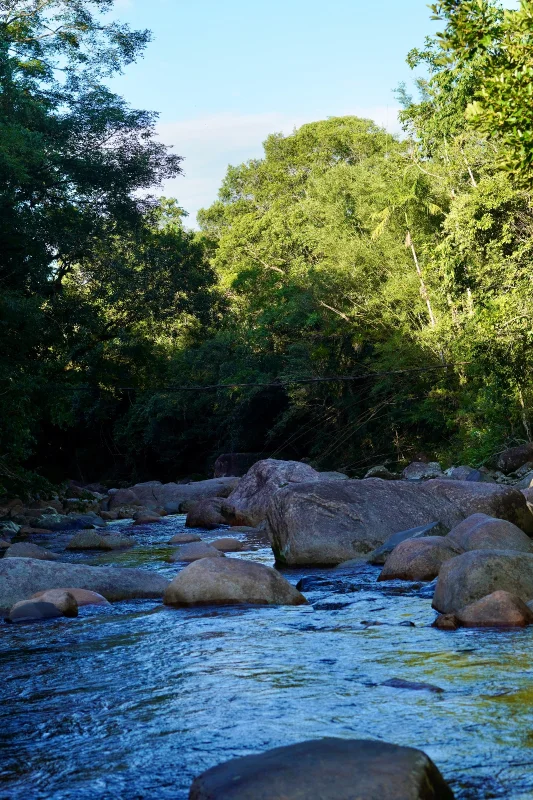 Movimente o Corpo - Movimente a Vida