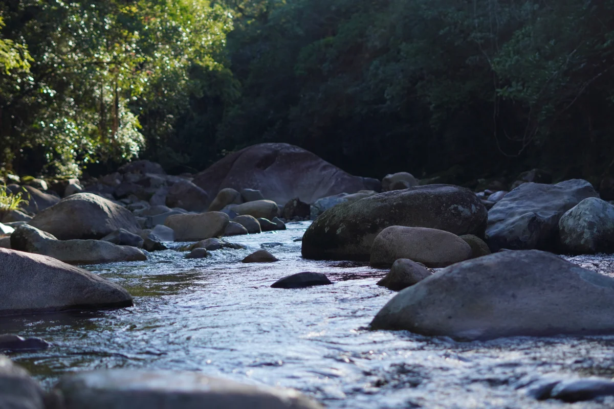 Movimente o Corpo - Movimente a Vida